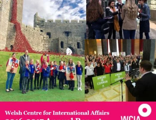 WCIA annual report screen grab WCIA annual report screen grab