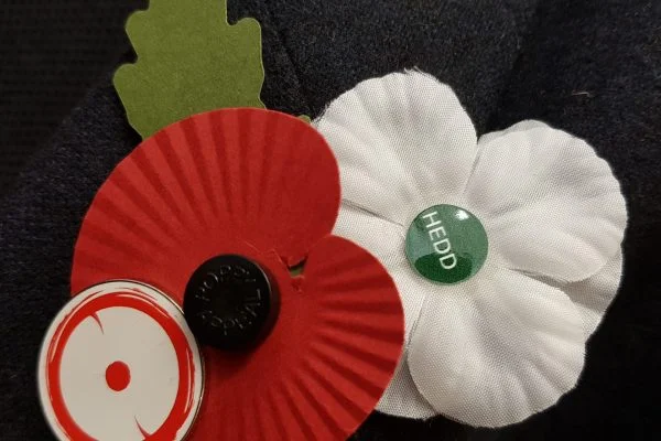 Red_White_WfP_Poppies